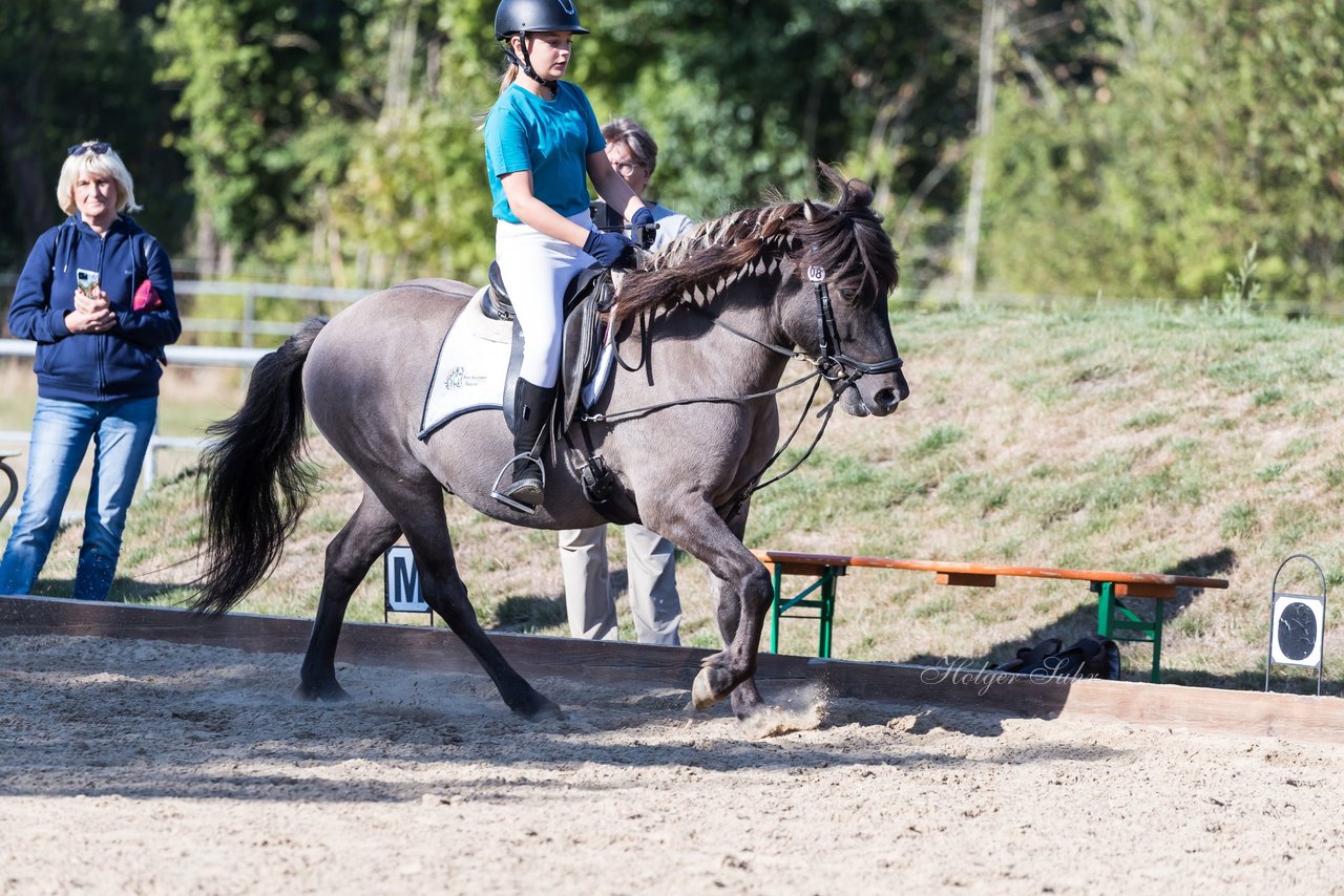 Bild 51 - Pony Akademie Turnier